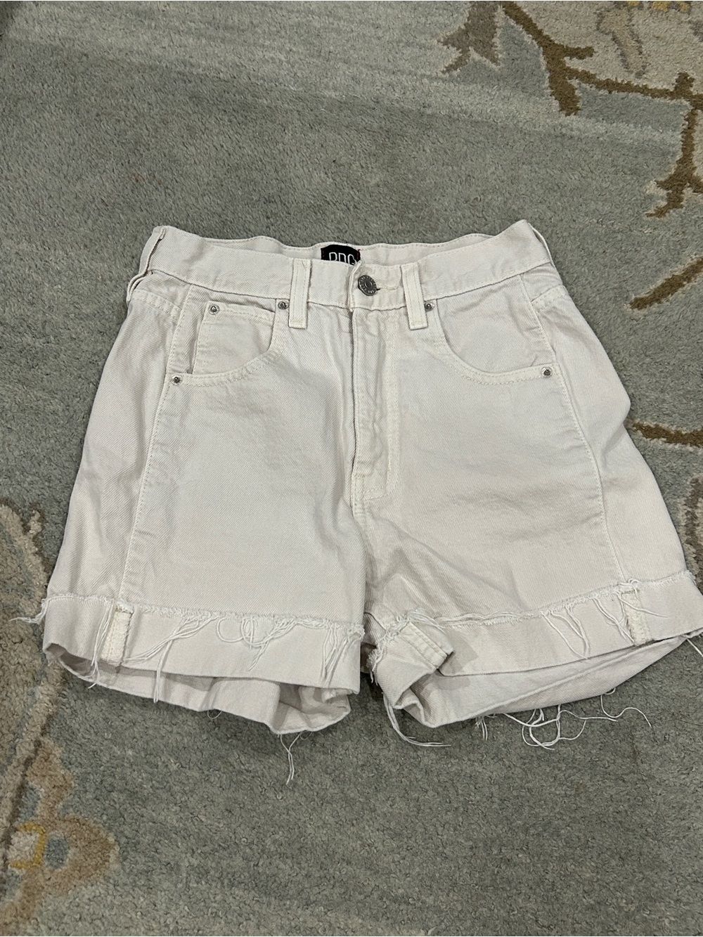 BDG Urban Outfitters Shorts
